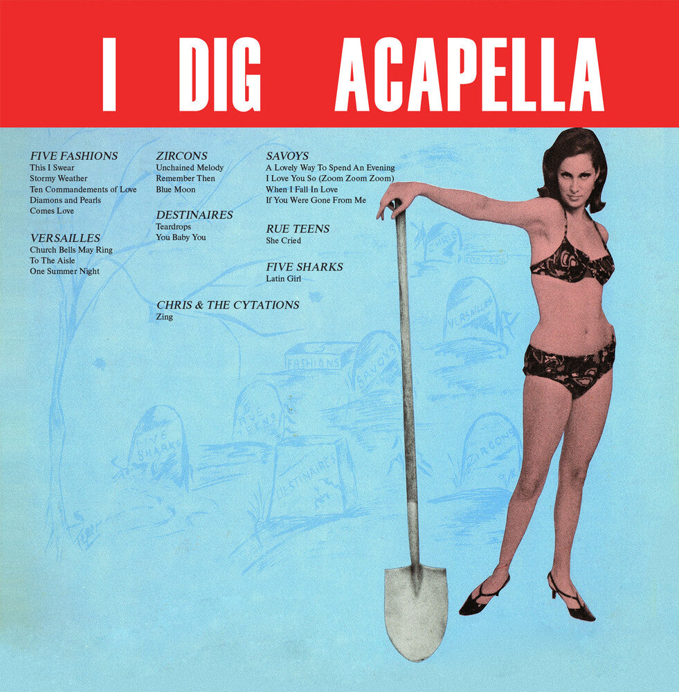 the album cover for Various Artists - IDigAcappella(2023Remaster)