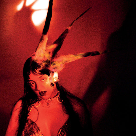 the album cover for FRAN LOBO - Burning It Feels Like