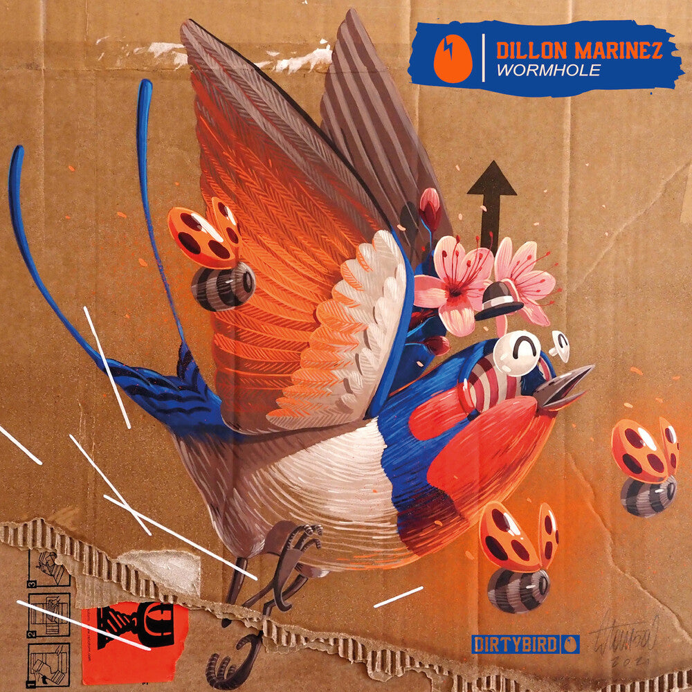 the album cover for Dillon Marinez - Wormhole