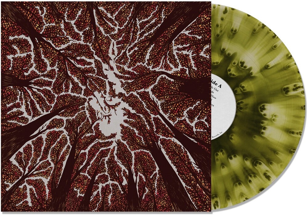 the album cover for Trash Boat - Crown Shyness (Grn)