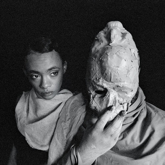 the album cover for Protomartyr - Formal Growth In The Desert