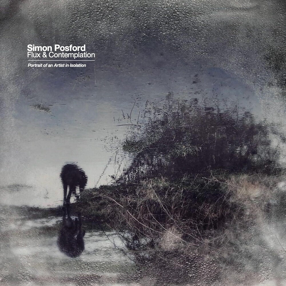 the album cover for Simon Posford - Flux & Contemplation: Portrait Of An Artist In Isolation [2 LP]