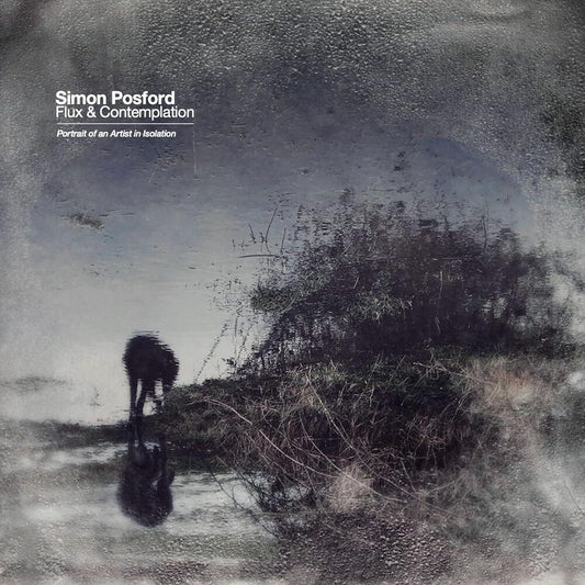the album cover for Simon Posford - Flux & Contemplation: Portrait Of An Artist In Isolation [2 LP]
