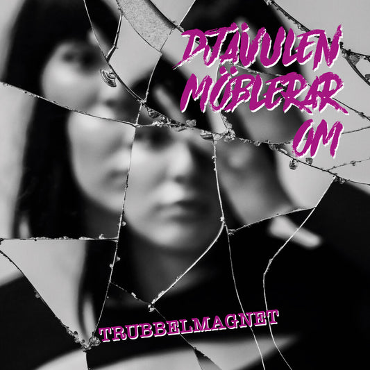 the album cover for Djävulen Möblerar Om - Trubbelmagnet