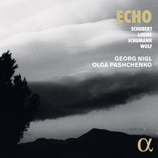 the album cover for Nigl / Pashchenko - Echo