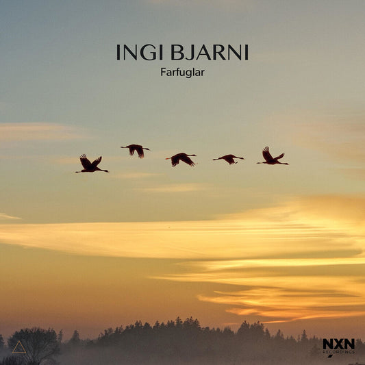 the album cover for Ingi Skulason  Bjarni - Farfuglar