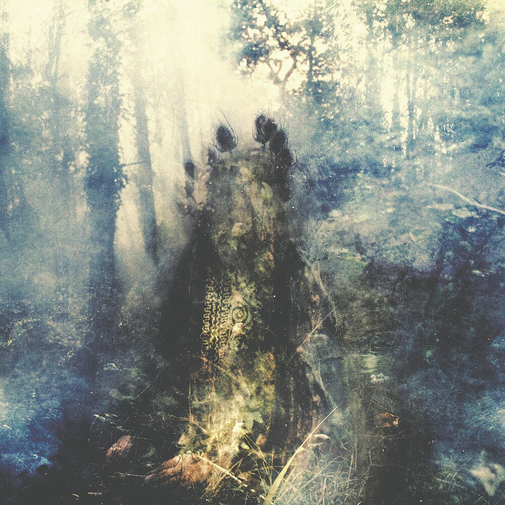 the album cover for Sylvaine - Wistful (Bonus Track) [Clear Vinyl] (Gate) [Limited Edition] (Trq)