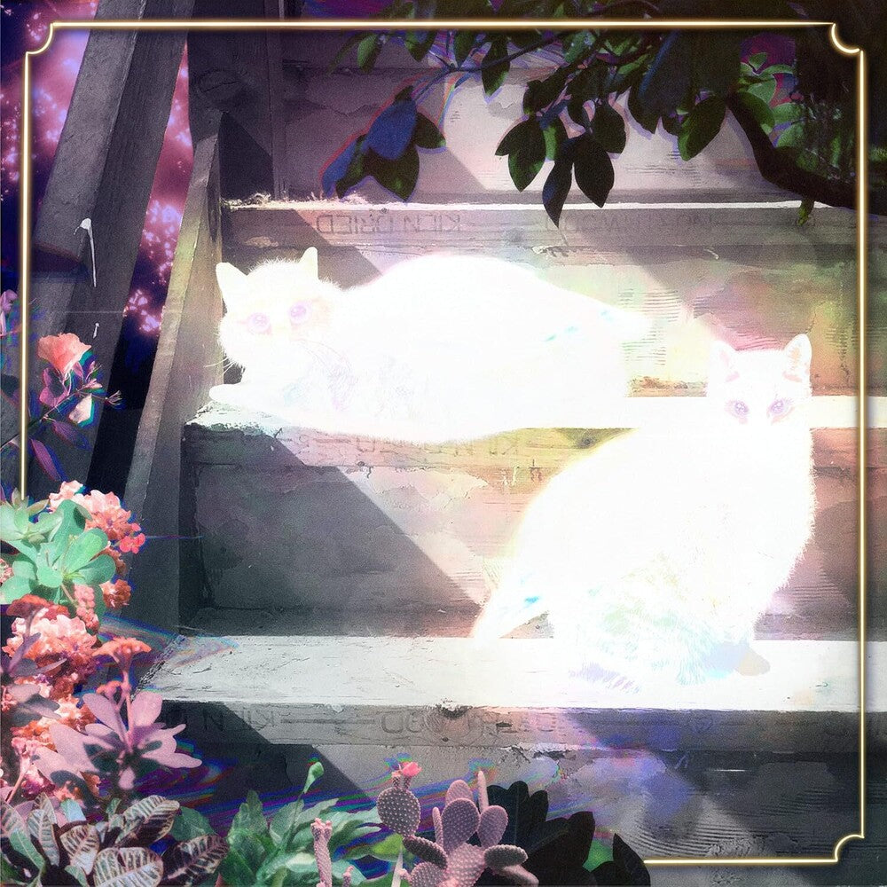 the album cover for Scary Jokes - Retinal Bloom