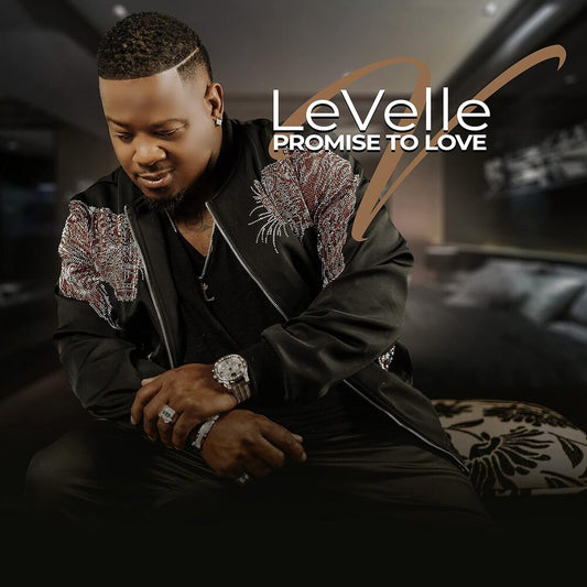 the album cover for LeVelle - Promise To Love