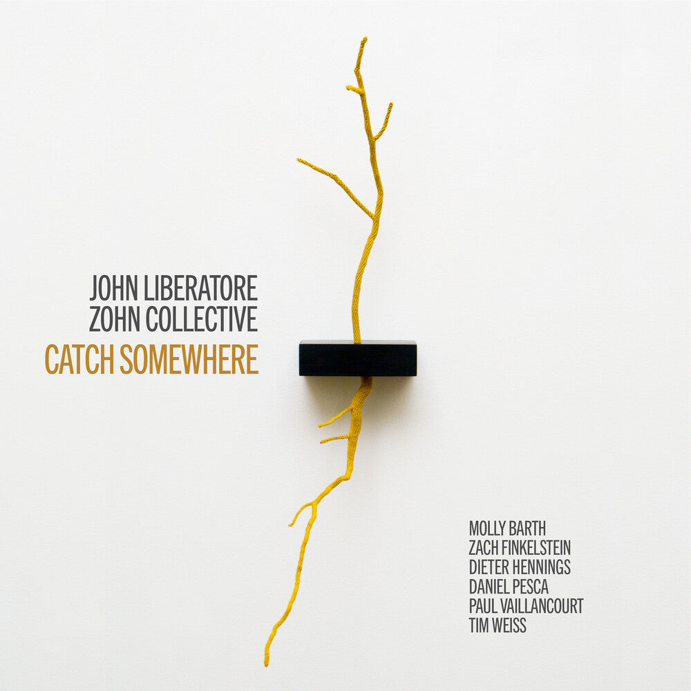the album cover for Liberatore / Barth / Nogal - Catch Somewhere