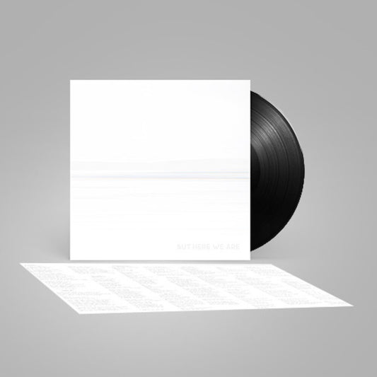 Foo Fighters - But Here We Are [LP]