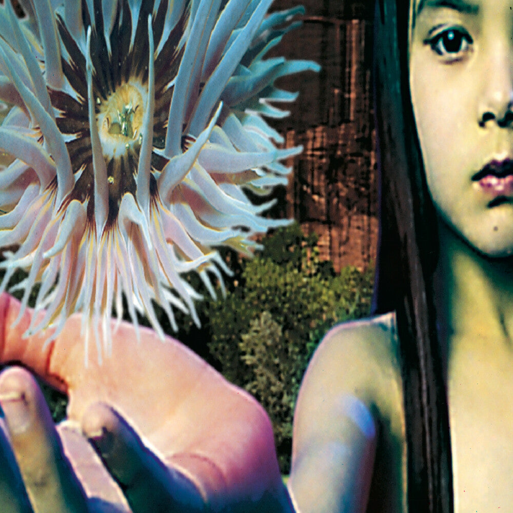 the album cover for Future Sound Of London - Lifeforms (Hol)