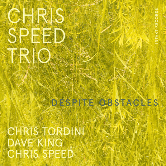 the album cover for Chris Speed - Despite Obstacles