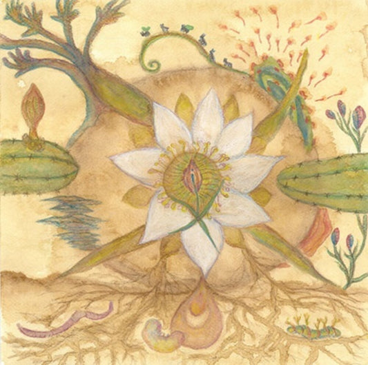 the album cover for Markandeya - Vision Versions: Joaquin Cornejo Meets Markandeya