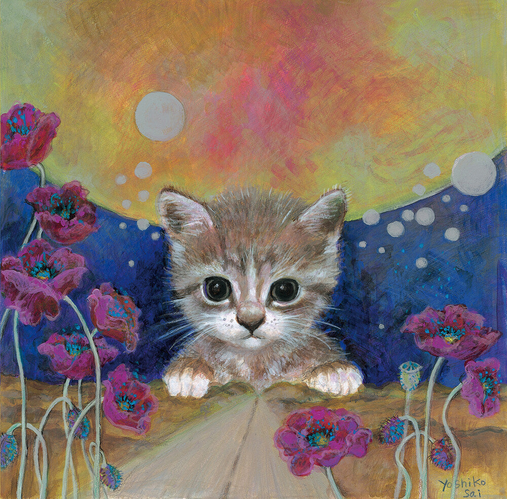 the album cover for Sai Yoshiko - Live At Shibuya O-Nest