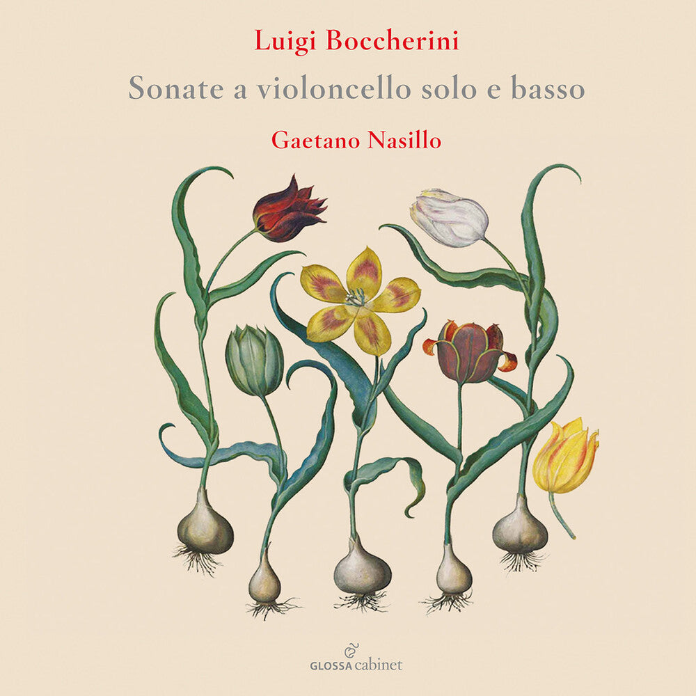 the album cover for Boccherini / Nasillo - Flute Concertos