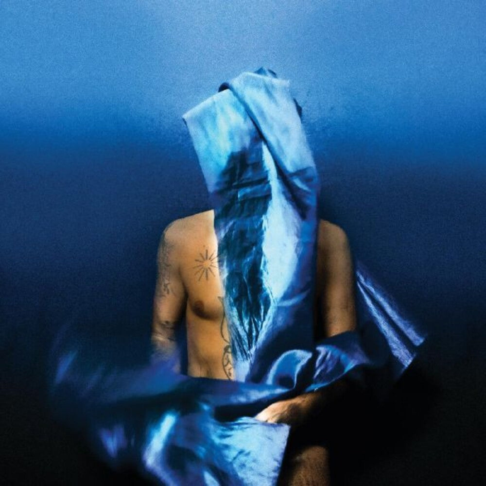 Devendra Banhart - Flying Wig [CD]