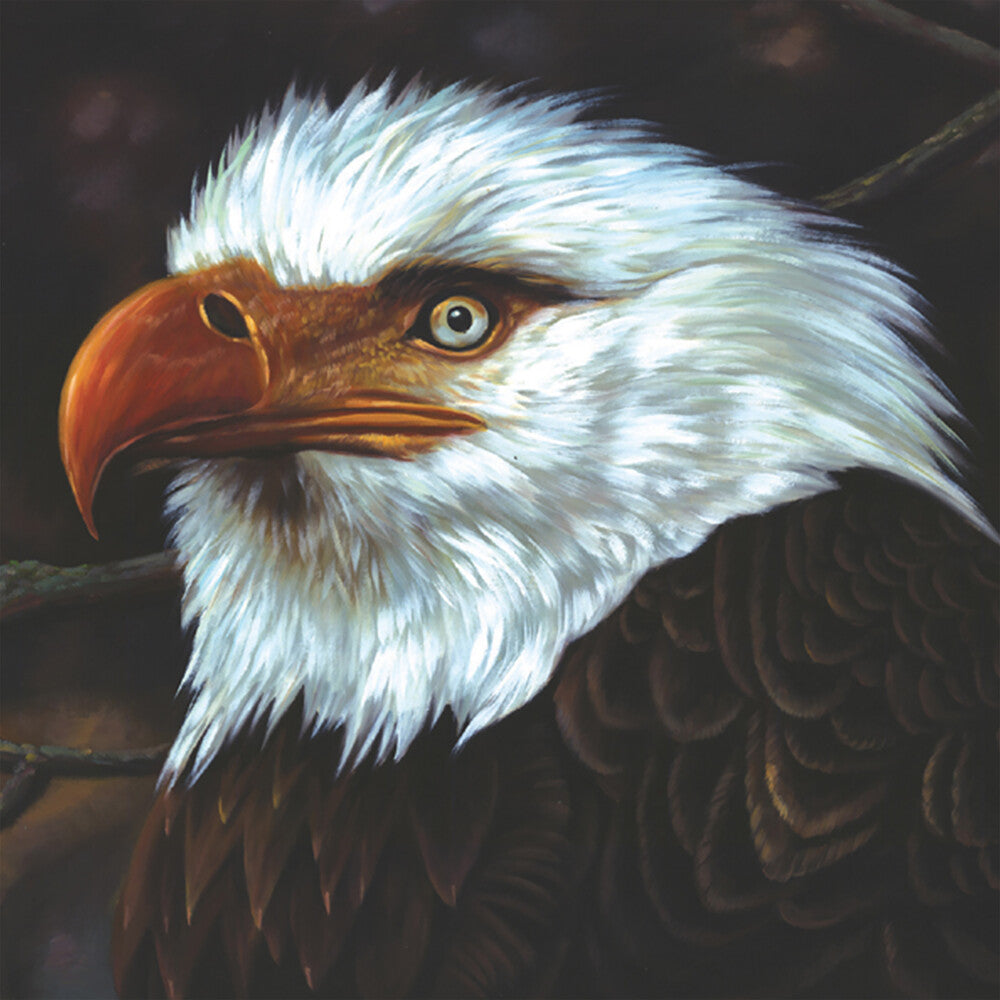Mogwai - Hawk Is Howling [Colored Vinyl] (Wht) [Reissue]