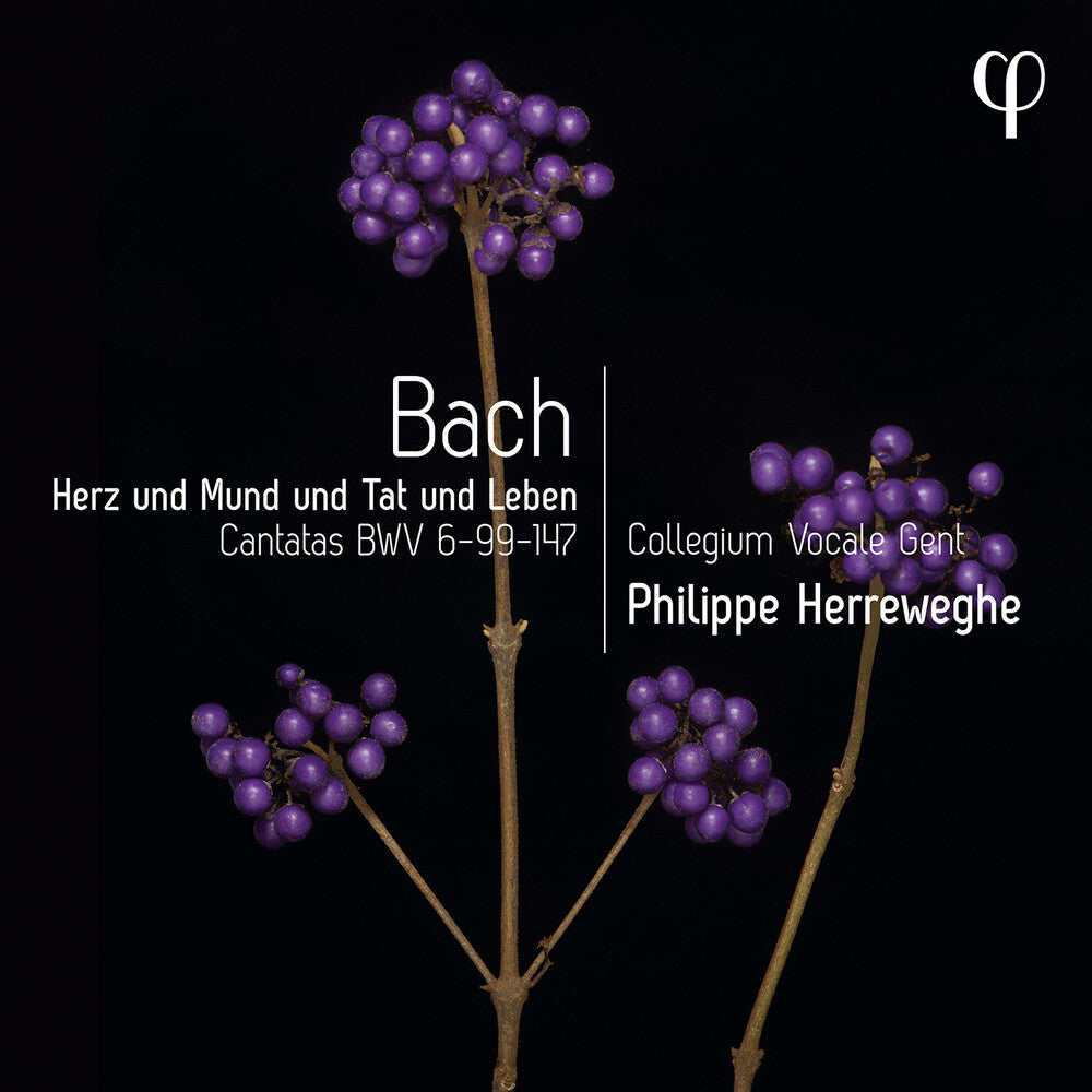 the album cover for J Bach .S. / Herreweghe - Erz Und Mund Und Tat Und Leben - Cantatas, Bwv