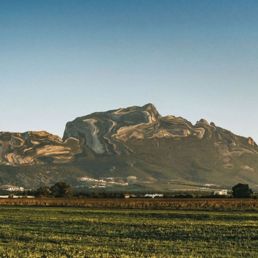 the album cover for Deena Abdelwahed - Jbal Rrsas