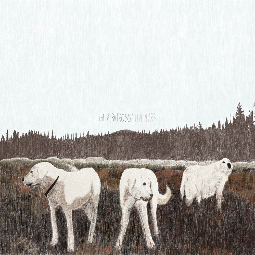 Foxing - Albatross: Ten Years (Brwn) [Colored Vinyl]