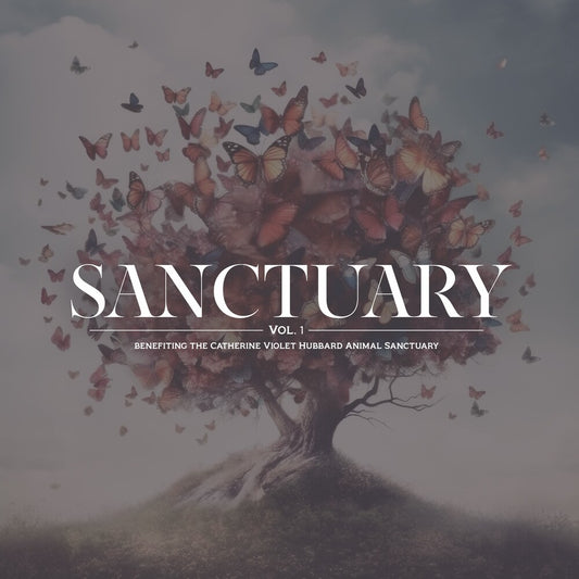 the album cover for Sanctuary Vol. 1 / Various (Ofgv) - Sanctuary Vol. 1 / Various (Ofgv)