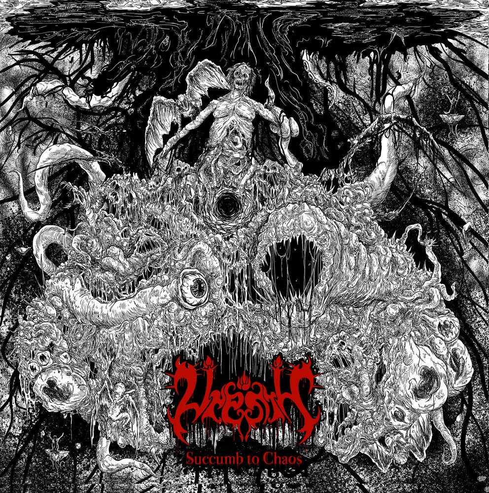 the album cover for Vrenth - Succumb To Chaos