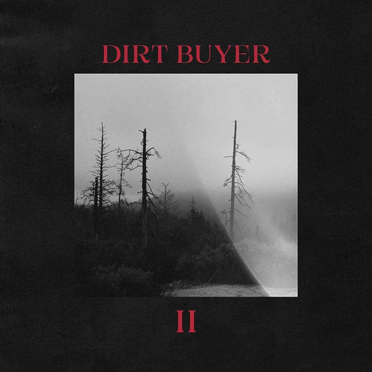 the album cover for Dirt Buyer - Dirt Buyer Ii