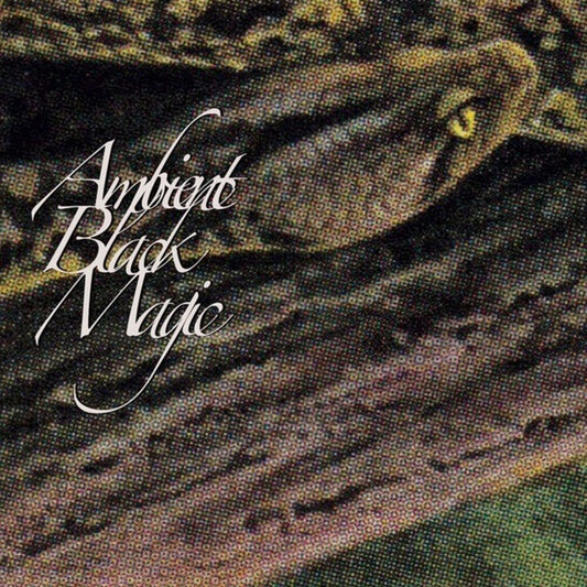 the album cover for Rainforest Spiritual Enslavement - Ambient Black Magic