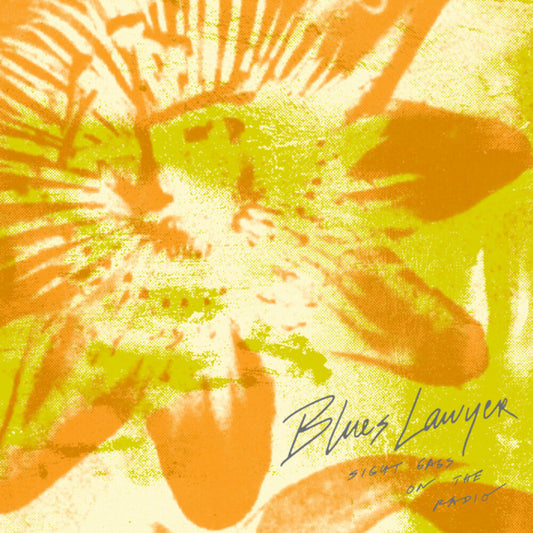 the album cover for Blues Lawyer - Sight Gags On The Radio