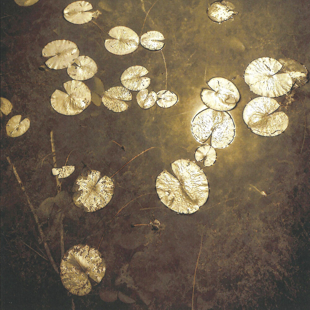 the album cover for Northwoods Improvisers - Fanfares