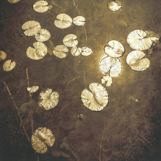 the album cover for Northwoods Improvisers - Fanfares