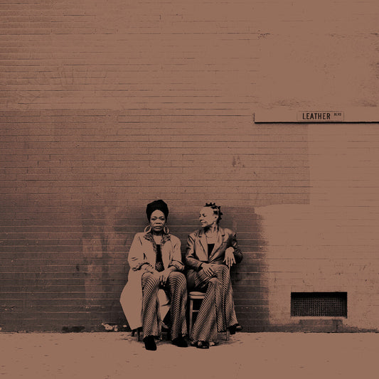 the album cover for B. Cool-Aid - Leather Blvd. (Brwn) [Colored Vinyl] (Gate) [180 Gram]
