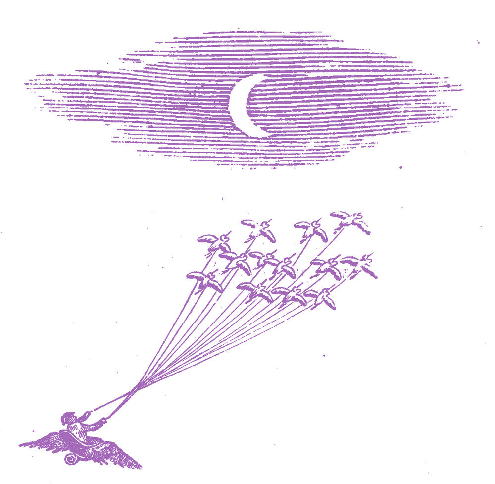 the album cover for Feeling Figures - Migration Music [LP]