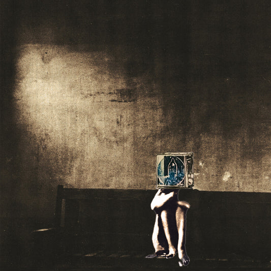 the album cover for The Polyphonic Spree - Salvage Enterprise [LP]