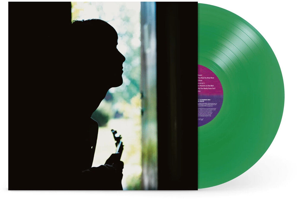the album cover for Paul Weller - Wild Wood [Colored Vinyl] (Grn) [Limited Edition] (Uk)