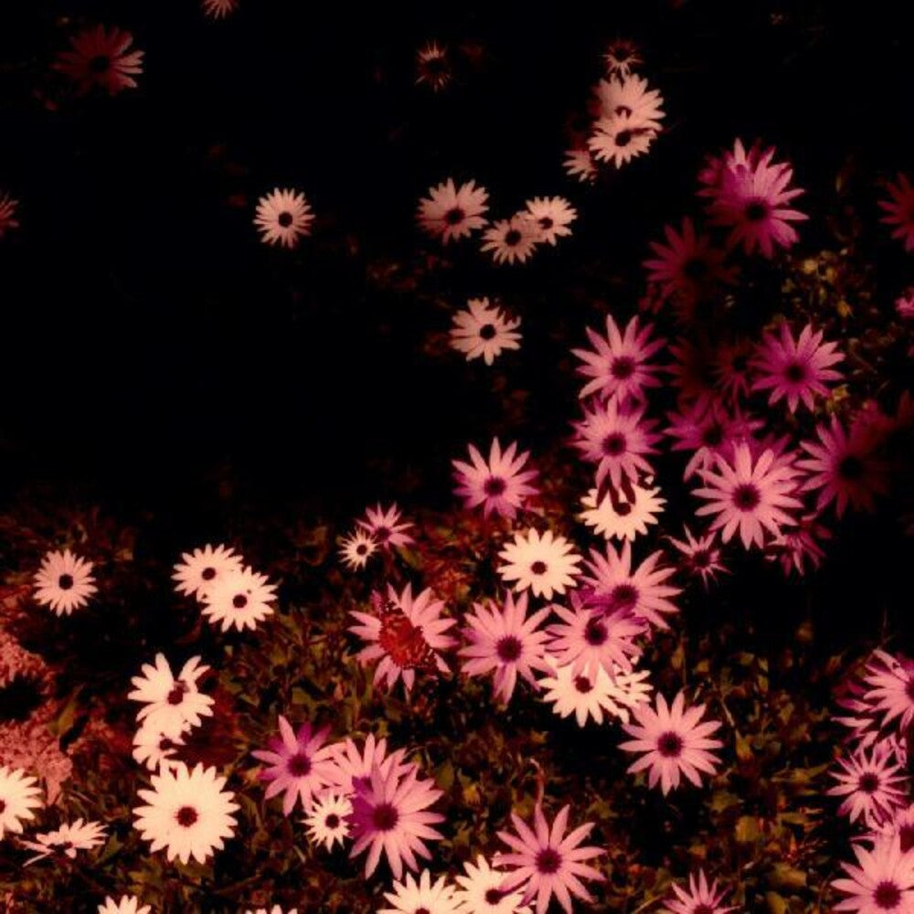 Rat Columns - Babydoll (Wsv) [Indie Exclusive]