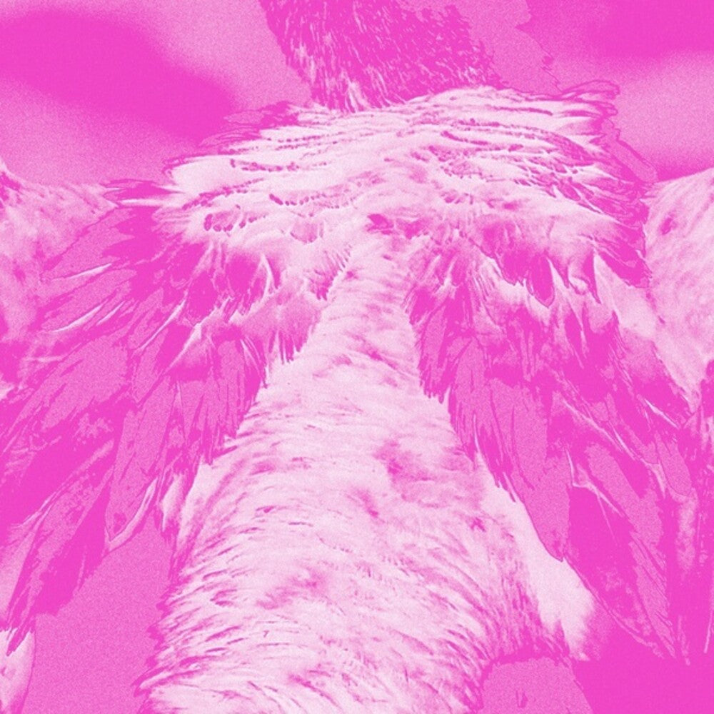 the album cover for Kate Carr - Field Guide To Phantasmic Birds