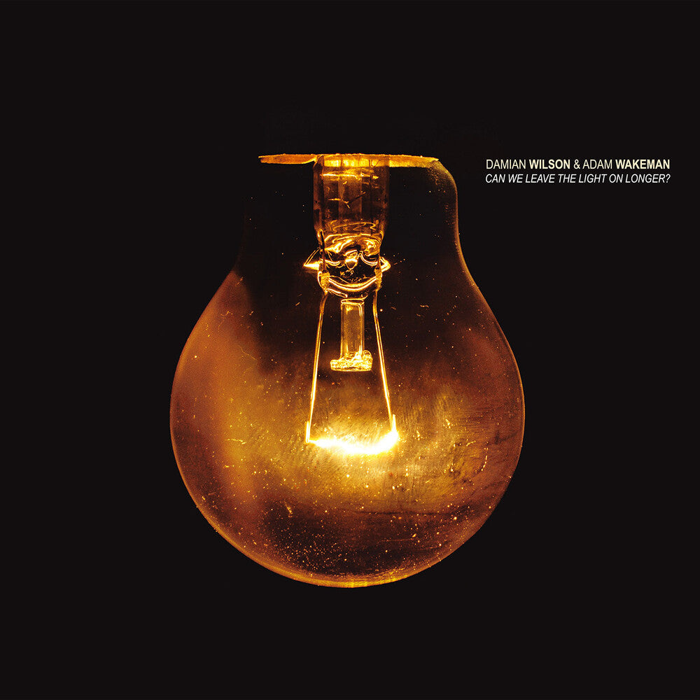 the album cover for Damian Wilson - Can We Leave The Light On Longer [Digipak]