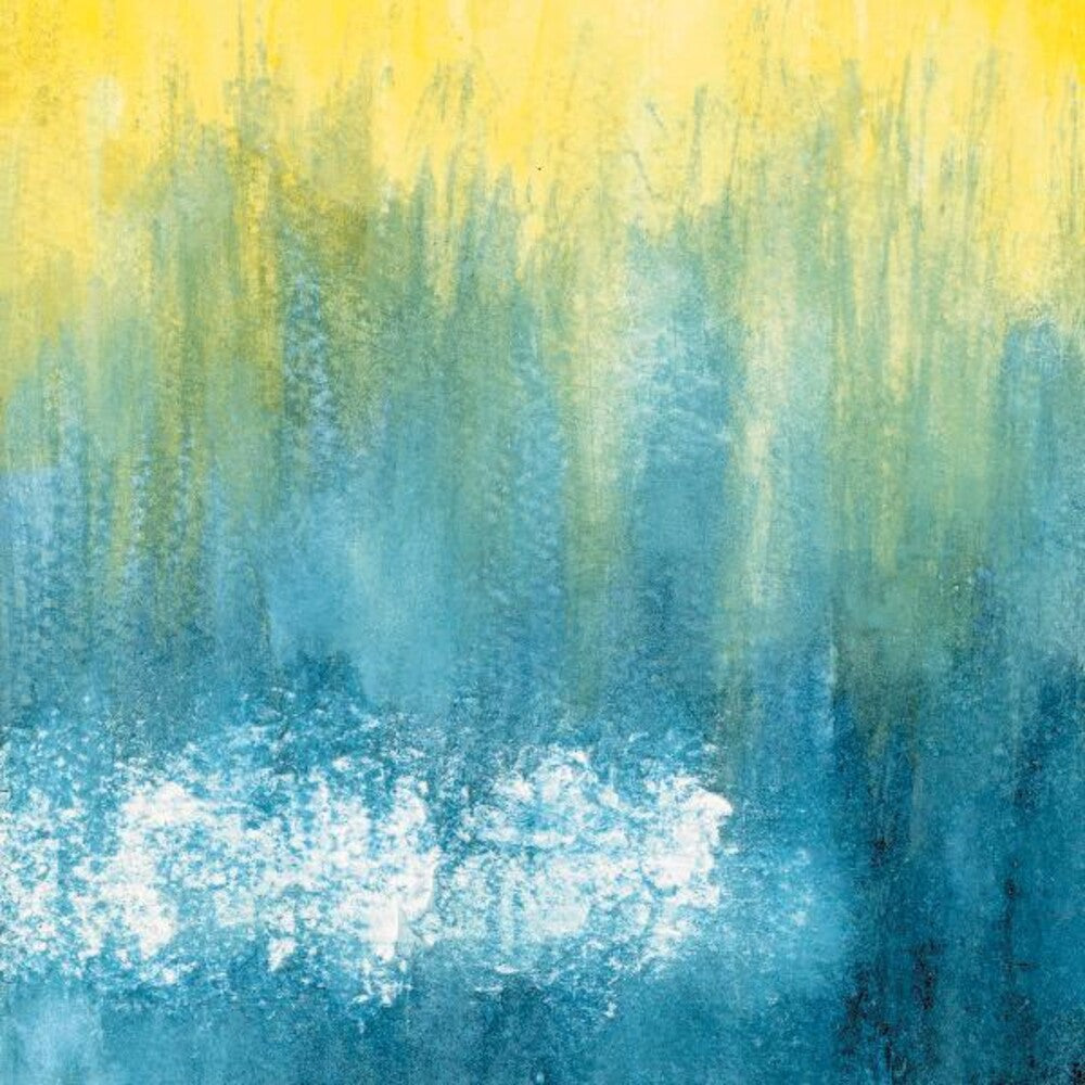 the album cover for Neva Dinova - Neva Dinova