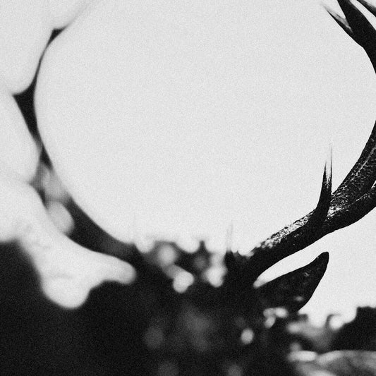 the album cover for Ihsahn - Ihsahn (Orchestral Version) Clear W/ Black Smoke