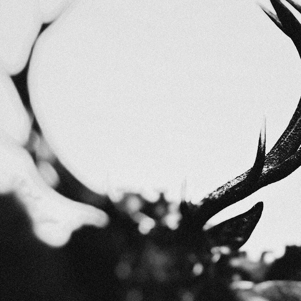 the album cover for Ihsahn - Ihsahn (Orchestral Version) (W/Book)