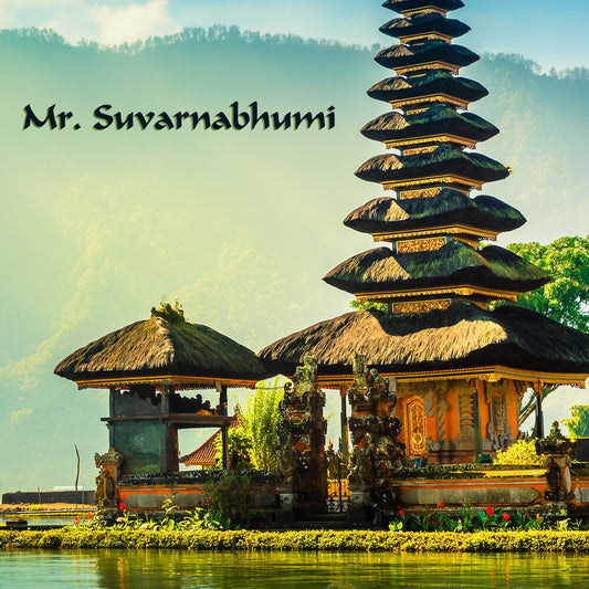 the album cover for Mr. Suvarnabhumi - E60