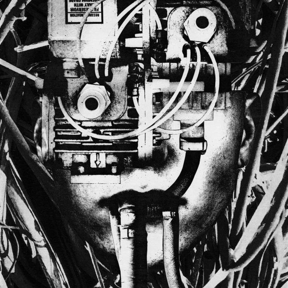 the album cover for Dissimulator - Lower Form Resistance