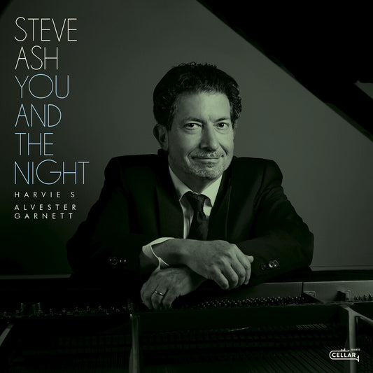the album cover for Ash, Steve - You And The Night