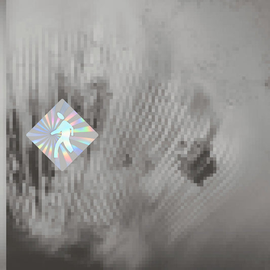 the album cover for Discovery Zone - Quantum Web