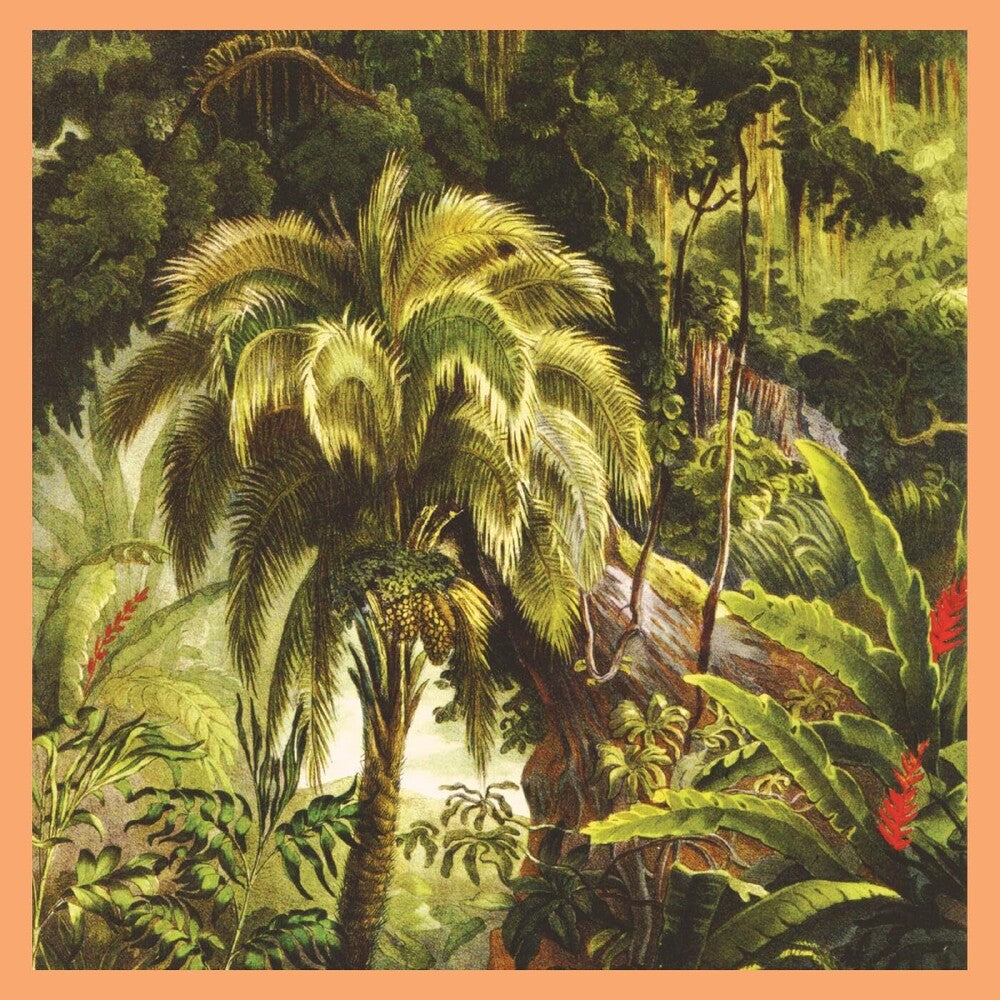 the album cover for Xiu Xiu - La Foret [Colored Vinyl] (Uk)