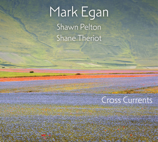 the album cover for Mark Egan - Cross Currents