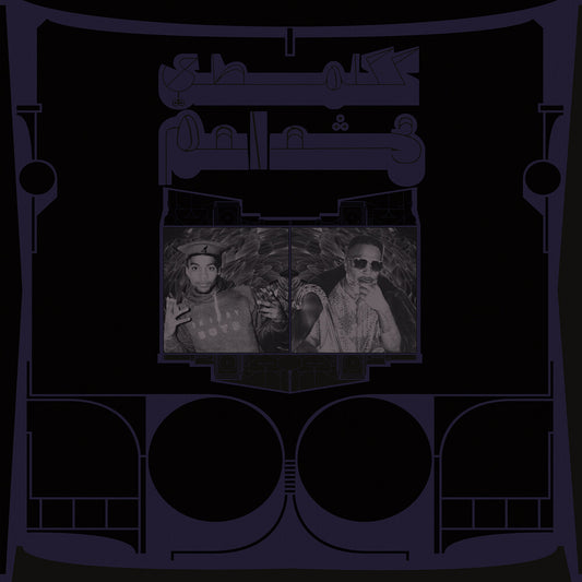 Shabazz Palaces - Exotic Birds Of Prey [Translucent White LP]