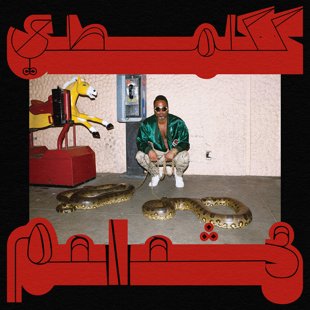 the album cover for Shabazz Palaces - Robed In Rareness